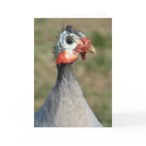 Guinea Fowl cards