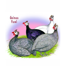 Guinea Fowl Quartet t-shirts