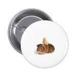 guinea pig and yellow bird pin