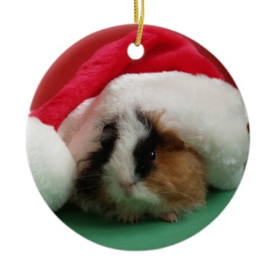 Guinea Pig Animal Christmas Ornament