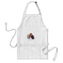 guinea pig apron