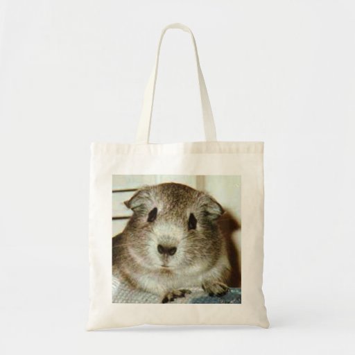 guinea pig bag Zazzle
