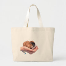 guinea pig bag