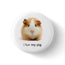 guinea pig pins