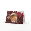 Guinea Pig Christmas cards