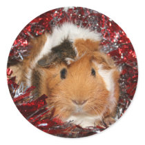 Guinea Pig Christmas sticker by deemac1 Guinea Pig Christmas sticker