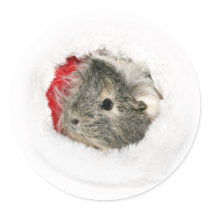 Guinea Pig Christmas sticker by deemac1 Guinea Pig Christmas sticker