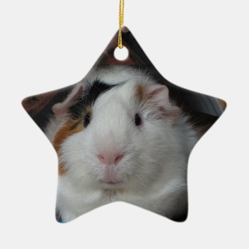 guinea pig christmas tree ornaments zazzle guinea pig christmas tree ornaments zazzle