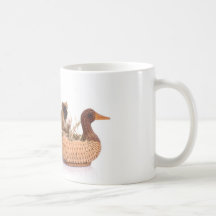 guinea pig coffee mugs
