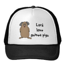 Guinea Pig Facts Hats
