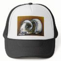 Guinea pig hats