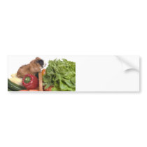 guinea pig in a basket of vegetables bumper sticker