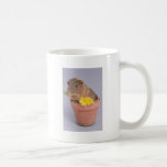 guinea pig in a flowerpot mug