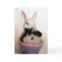 Guinea Pig in Bunny Planter For Easter cards