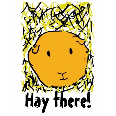 guinea pig in hay , Hay there! | T-Shirt by cherrybun