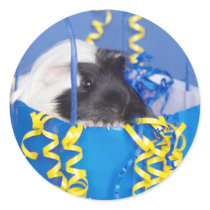 Guinea Pig in Party Bag Stickers