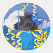 Guinea Pig in Party Bag Stickers stickers