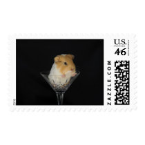 Guinea pig in wine glass postage