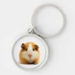 guinea pig keychains