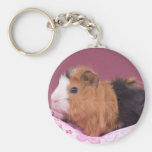 guinea pig key chains