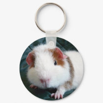Guinea Pig keychains by Evelyn_90 Guinea Pig keychains