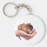guinea pig keychains