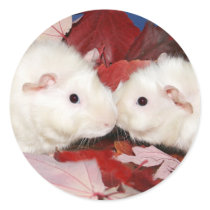 Meerschweinchen Kiss Aufkleber sticker