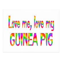 Guinea Pig Love Post Cards