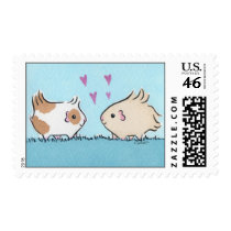 Guinea-pig Love