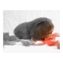 Guinea Pig Love posters