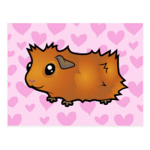 Guinea Pig Love (scruffy) Postcard