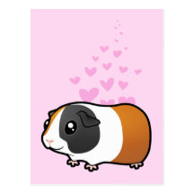 Guinea Pig Love (smooth hair) Postcards