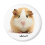 Guinea Pig magnet