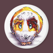 Guinea-pig magnets