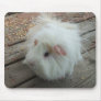 Guinea Pig Mousepad