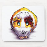 Guinea-pig Mouse Mats
