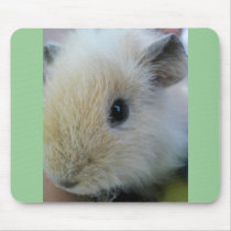 Guinea Pig mousepads by lollypopgirrrl Guinea Pig mousepads