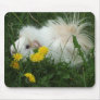 Guinea Pig Mousepad