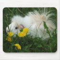 Guinea Pig Mousepad