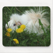 Guinea Pig Mousepad by abrodents Guinea Pig Mousepad