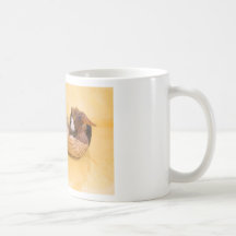 guinea pig mug