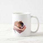 guinea pig mugs