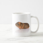 guinea pig mugs