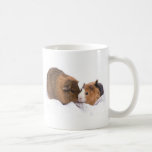guinea pig mugs
