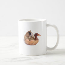 guinea pig mugs