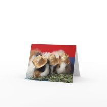 Guinea Pig Note Card by GuineaPigShop Guinea Pig Note Card