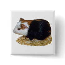 Guinea Pig Pet buttons