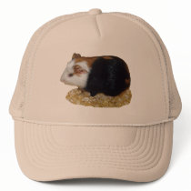 Guinea Pig Pet hats