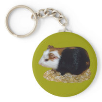 Guinea Pig Pet keychains