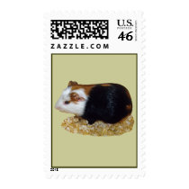 Guinea Pig Pet Stamps